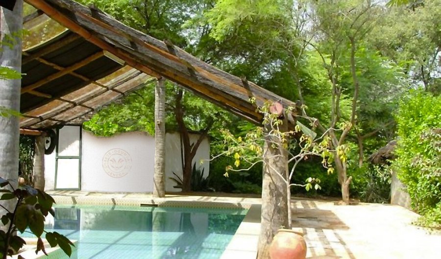 Piscine et abord du campement