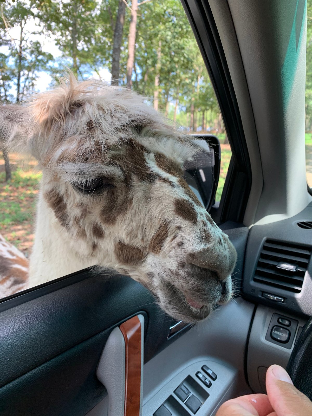 Eudora Farms (Salley) - All You Need to Know BEFORE You Go Eudora Farms (Salley) - All You Need to Know BEFORE You Go