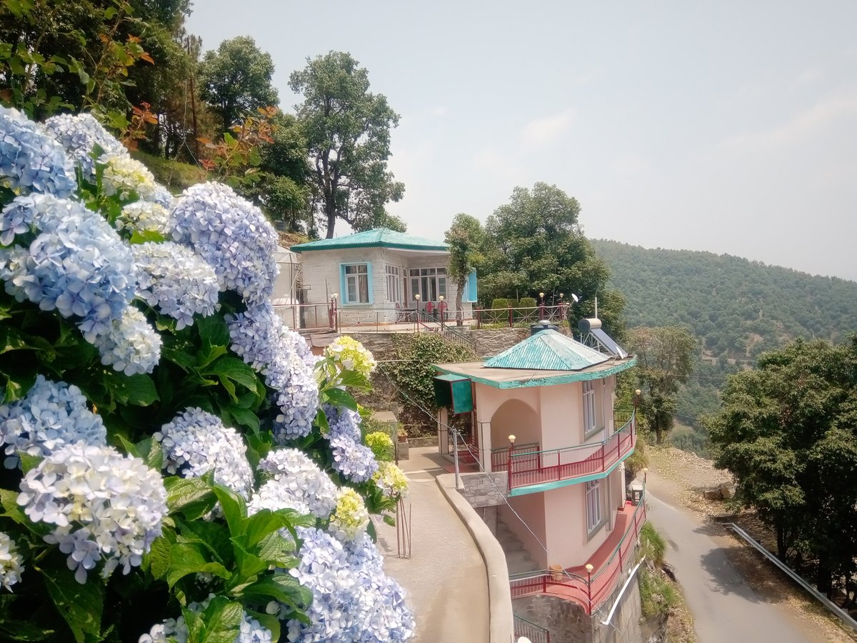 Дворец раджи, ставший отелем - отзыв о The Chail Palace, Chail, Индия -  Tripadvisor