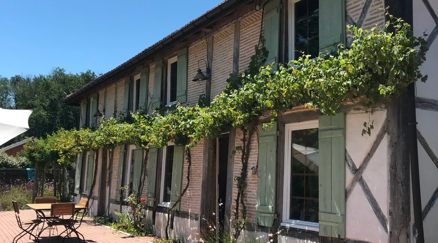 La Résinière de Pirique