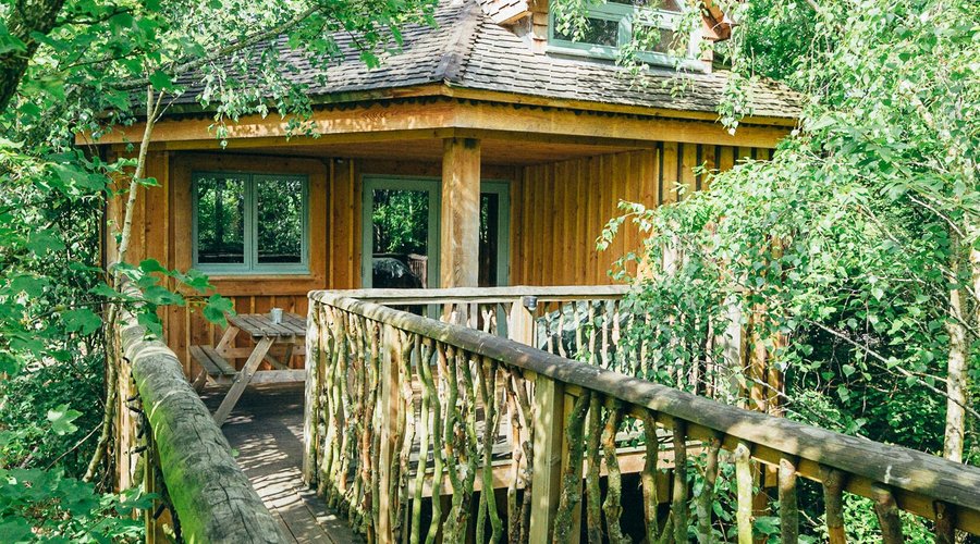 Quercus Tree House