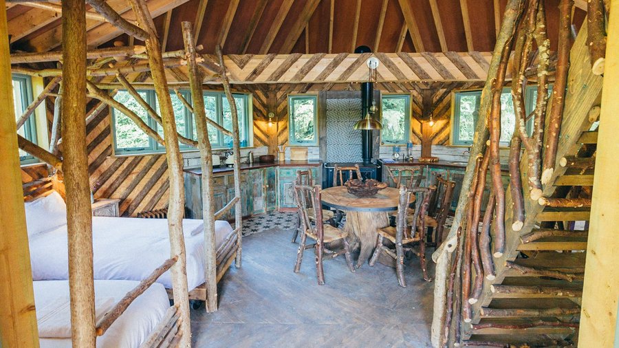 Quercus Tree House