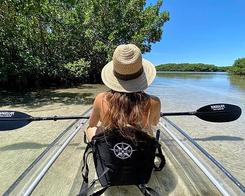 ‪Clear Kayak Tour of Shell Key Preserve and Tampa Bay Area‬
