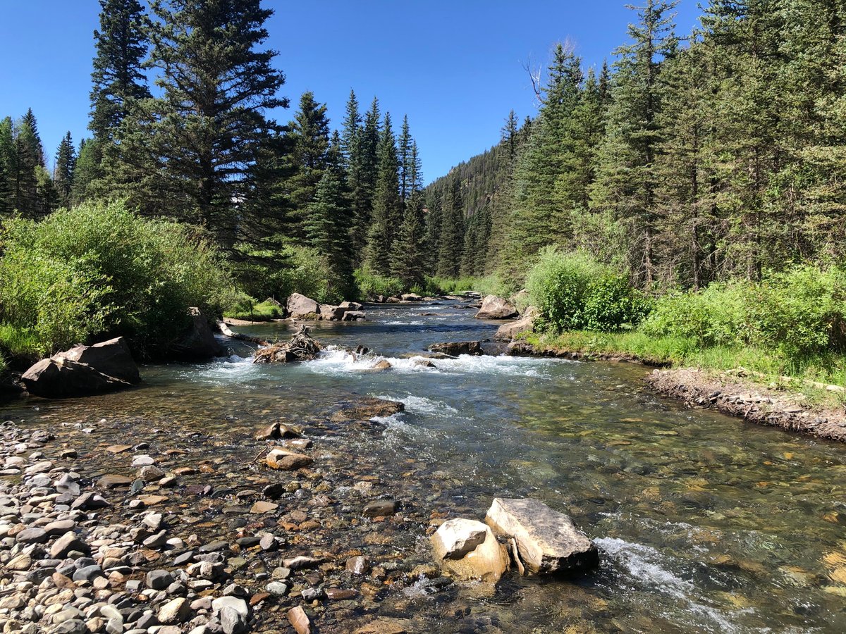 Telluride Flyfishers - All You Need to Know BEFORE You Go (2024)