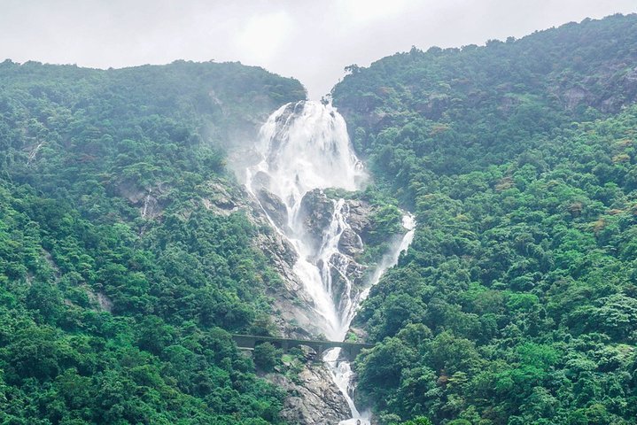 Tripadvisor | Dagtour Old Goa Dudhsagar Falls En Spice Plantation ...