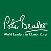 Peter Beales Roses