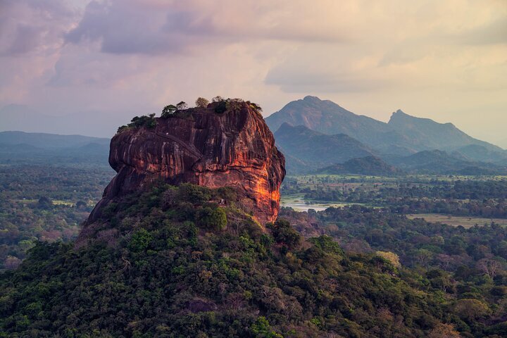 2023 Sigiriya Rock and Wild Elephant Safari from Sigiriya