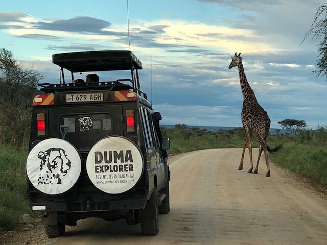 Duma Explorer (Arusha) - All You Need to Know BEFORE You Go