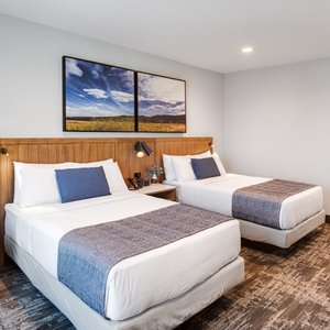 Deluxe 2 Queen Room