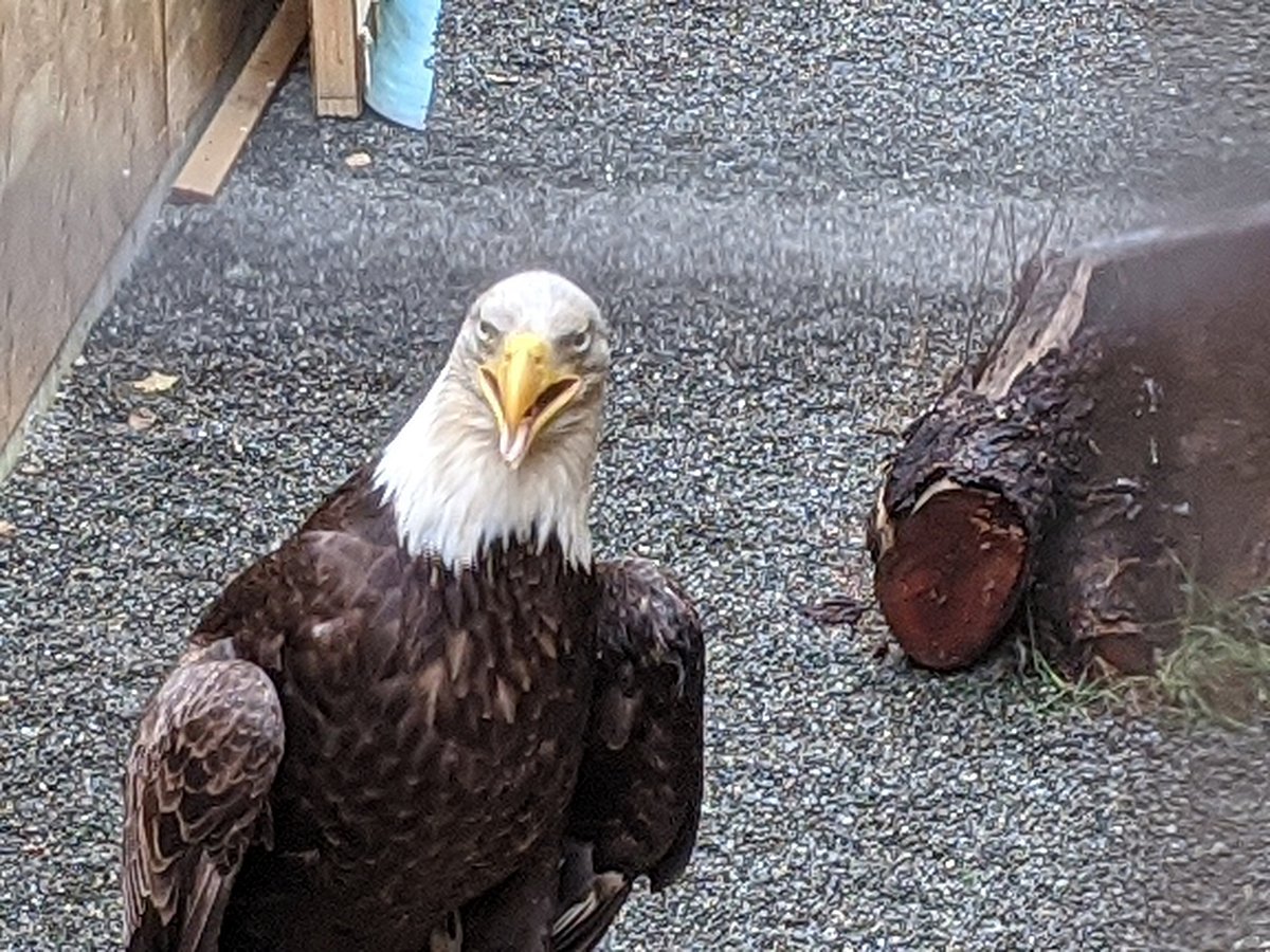 MARS WILDLIFE RESCUE CENTRE (Merville) - 2023 What to Know BEFORE You Go MARS WILDLIFE RESCUE CENTRE (Merville) - 2023 What to Know BEFORE You Go