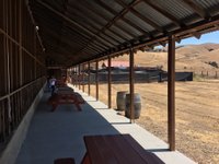 Gilroy Ostrich Farm - All You Need to Know BEFORE You Go