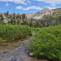 Mount Zirkel Wilderness Area (Steamboat Springs) - All You Need to Know ...