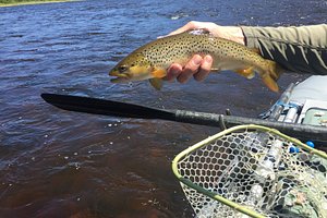 THE COMPLETE FLY FISHER - Lodge Reviews (Wise River, MT)