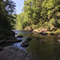 Gorges State Park - All You Need to Know BEFORE You Go (2024)