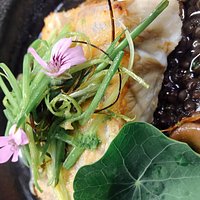 Plat a la carte, filet de turbot sauvage, lentilles belluga et bouillon japonais infusé au géranium odorant