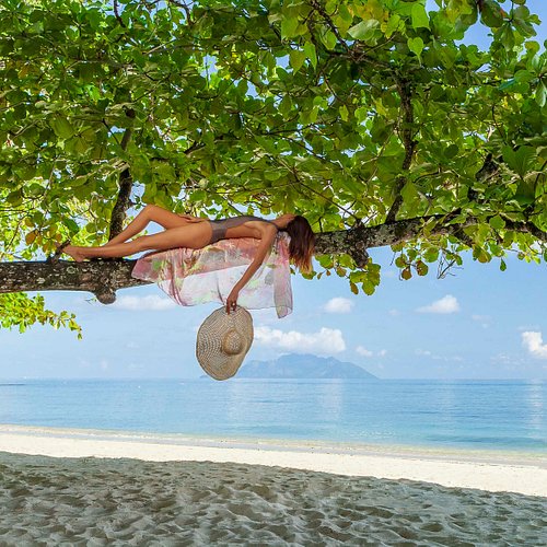 THE 10 BEST Seychelles Luxury Resorts 2023 (with Prices) - Tripadvisor