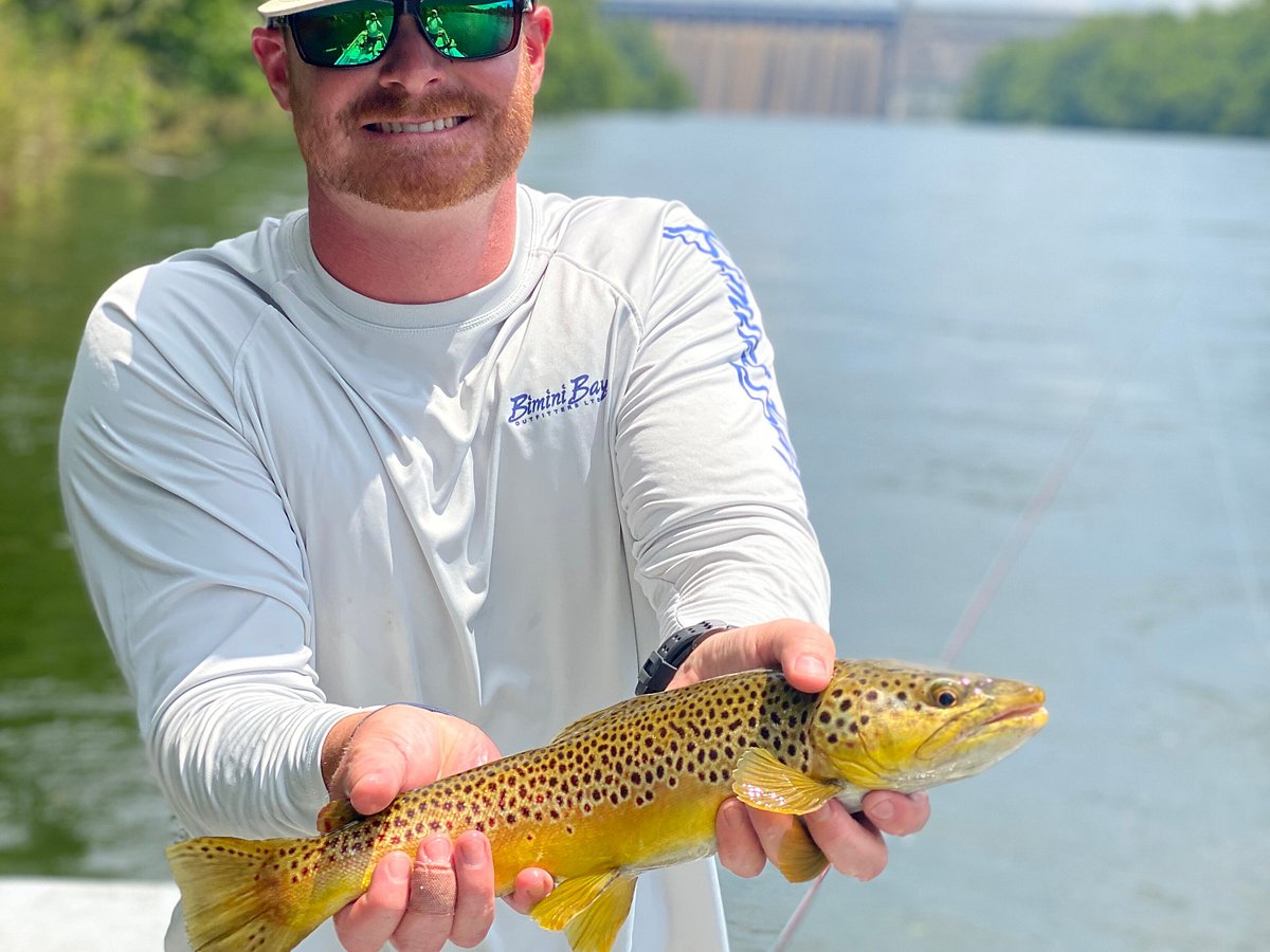 Pretty fly: Gear key to fly fishing experience  The Arkansas  Democrat-Gazette - Arkansas' Best News Source