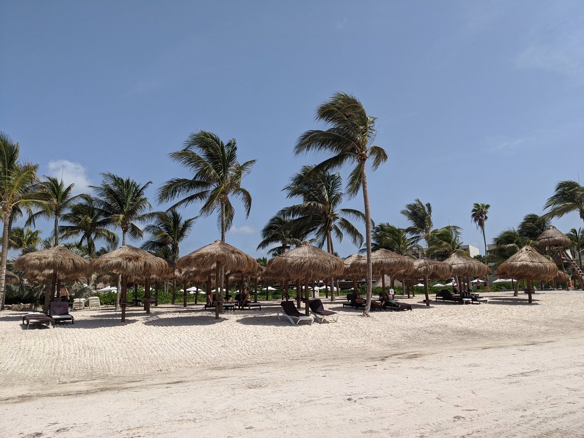 SECRETS AKUMAL RIVIERA MAYA - Updated 2024 Reviews, Photos & Prices