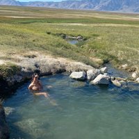 Wild Willy's Hot Springs - All You Need to Know BEFORE You Go (2024)