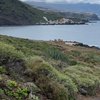 Viajero empedernido