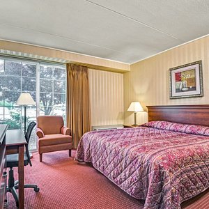 Our King Guestroom
