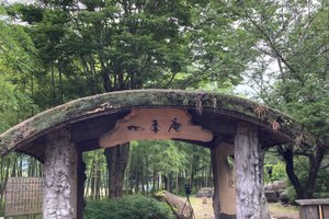 旅行者の写真