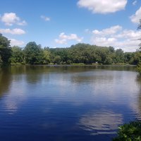 ALLESTREE PARK (2024) All You Need to Know BEFORE You Go (with Photos)