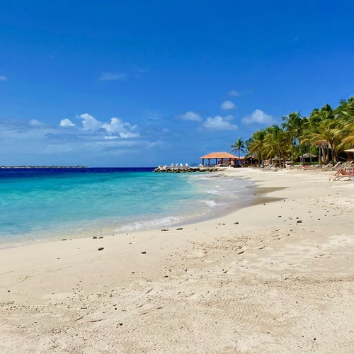 THE 10 BEST Bonaire Hotel Deals (Jan 2024) - Tripadvisor