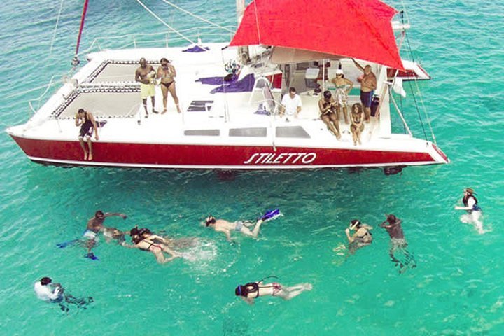 barbados catamaran turtle snorkel