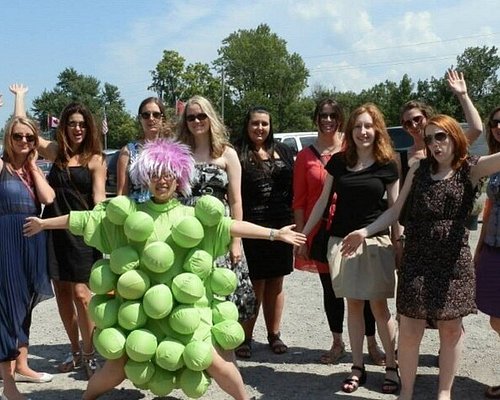 winery tours niagara on the lake packages