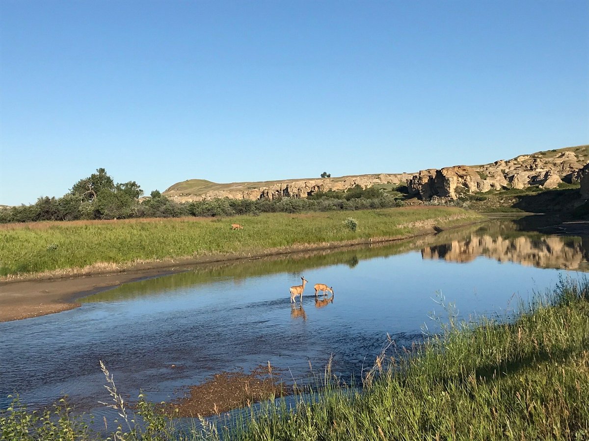 Writing on stone campground reviews milk river alberta 