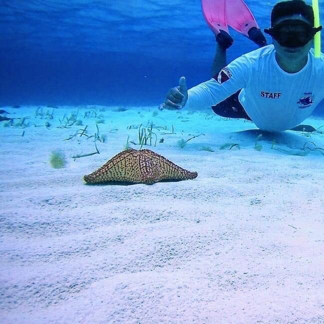 El Cielo Cozumel Snorkeling Tour - 2023 Lo que se debe saber antes de  viajar - Tripadvisor