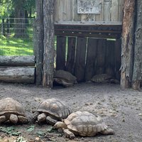 Wilderness Trails Zoo (Birch Run) - All You Need to Know BEFORE You Go