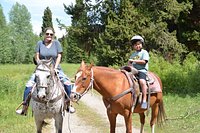 Creekside Trail Rides (West Yellowstone) - All You Need to Know BEFORE ...