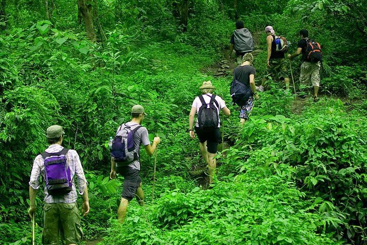 2023 Rainforest Trekking in Kitulgala