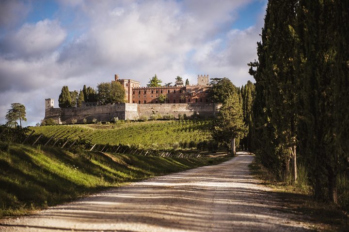 CASTELLO DI BROLIO (Gaiole In Chianti) - All You Need To Know BEFORE ...