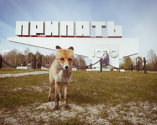 tjernobyl tour