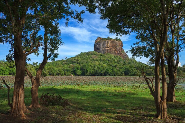 2024 Day Tour To Sigiriya Rock And Dambulla Cave Temple (Colombo)