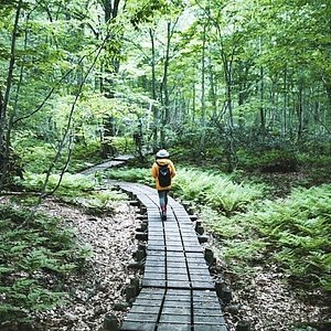 21年 白神山地 行く前に 見どころをチェック トリップアドバイザー