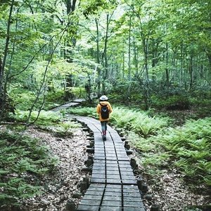 21年 白神山地 行く前に 見どころをチェック トリップアドバイザー