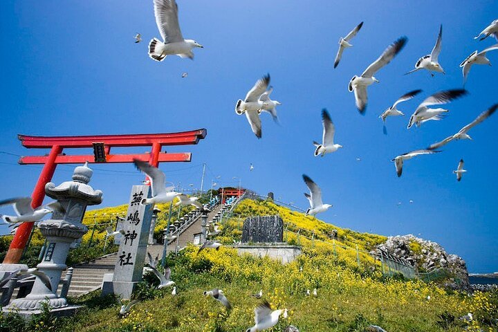 2025年 葦毛崎展望台 - 出発前に知っておくべきことすべて