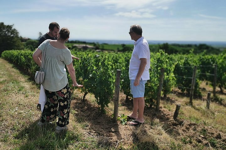 lyon vineyard tour