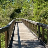 Conservation Park (Panama City Beach) - All You Need to Know BEFORE You Go