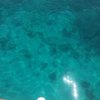 holidaytime