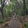 LMAREE63