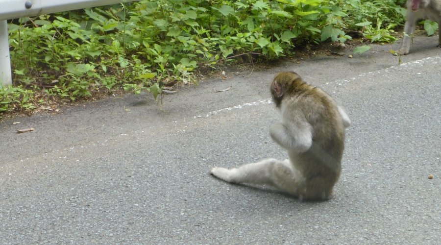 gankakeiwa park aomori０１