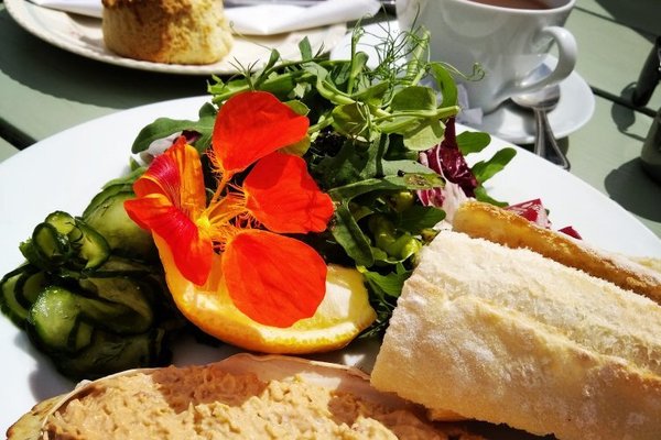 THE BEST Cafés in Cardigan (Updated 2024) - Tripadvisor