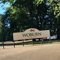 Woburn Safari Park - All You Need to Know BEFORE You Go