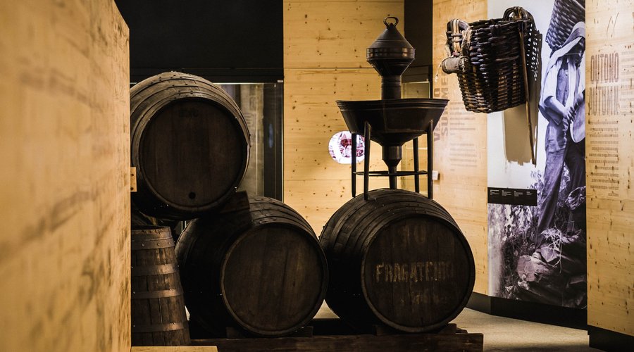 Pormenores da exposição permanente "Douro, Matéria e Espírito"