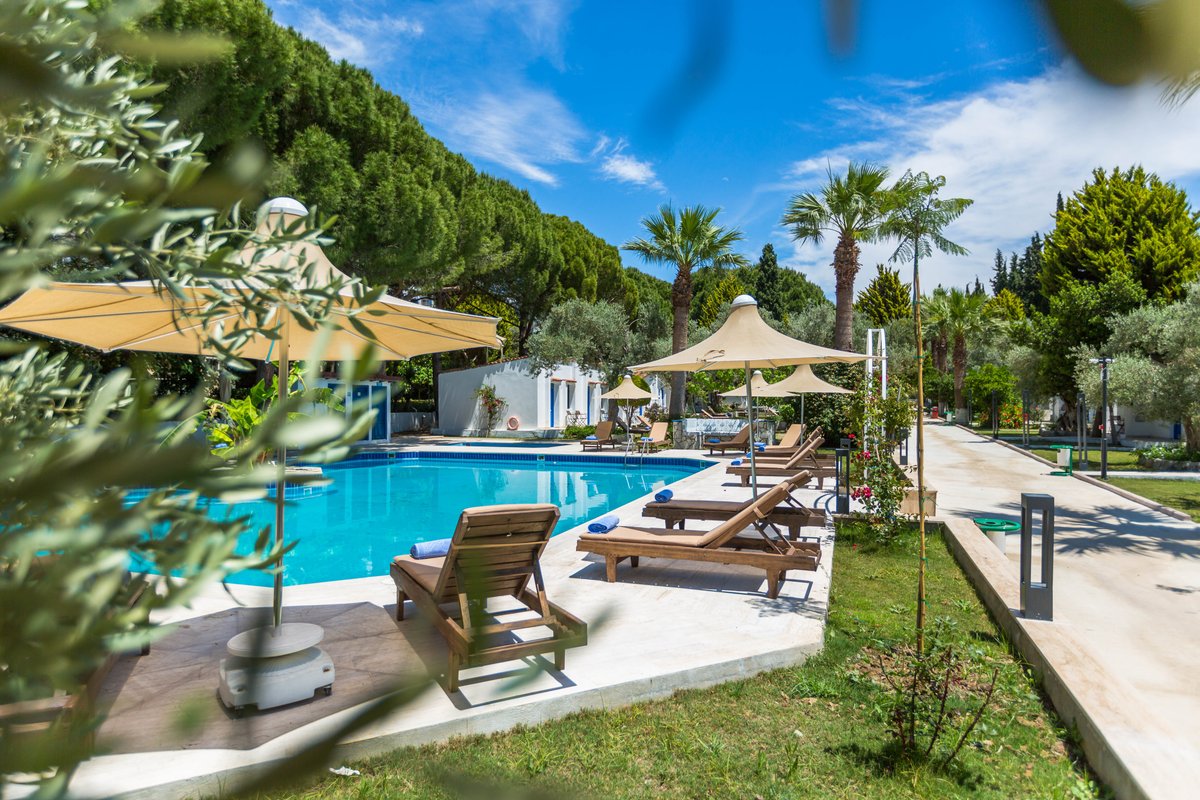 Risus Garden Hotel Pool Pictures & Reviews - Tripadvisor